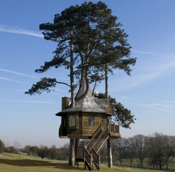 Amazing Tree Houses Around the World (2)