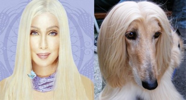 Celebrities Who Look Like Animals (10)