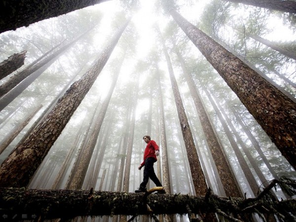 Best National Geographic Photos of Year 2013 (2)