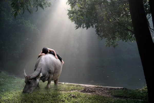 Best National Geographic Photos of Year 2013 (24)