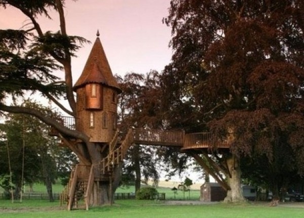 Amazing Tree Houses Around the World (6)