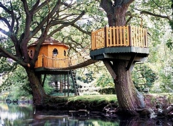 Amazing Tree Houses Around the World (7)