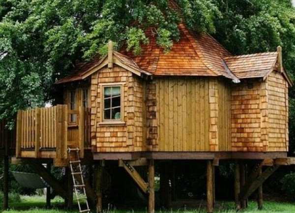 Amazing Tree Houses Around the World (8)