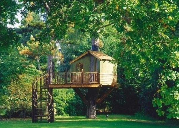 Amazing Tree Houses Around the World (9)