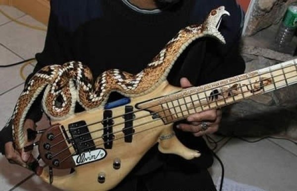 The Most Insane Custom Guitars You'll Ever See (2)