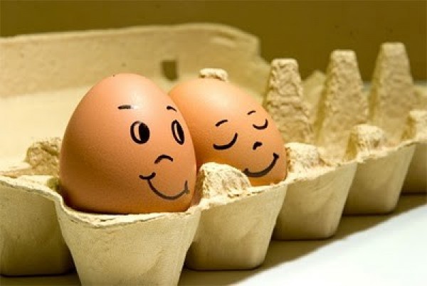 Top 10 Funny and Clever Emotions Egg (4)