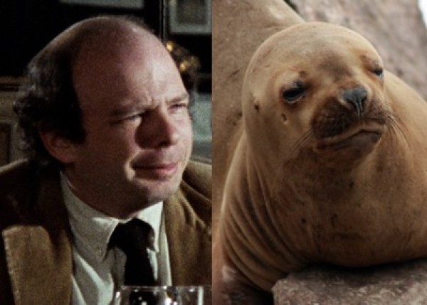 Celebrities Who Look Like Animals (2)