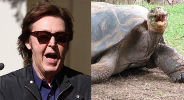 Celebrities Who Look Like Animals (5)