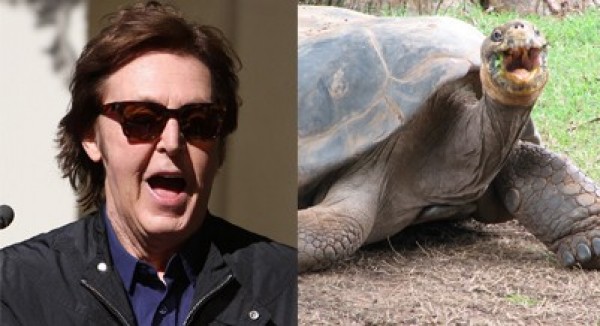 Celebrities Who Look Like Animals (5)