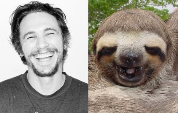 Celebrities Who Look Like Animals (7)