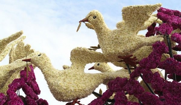 Gigantic Flower Sculpture Festival in Holland (8)